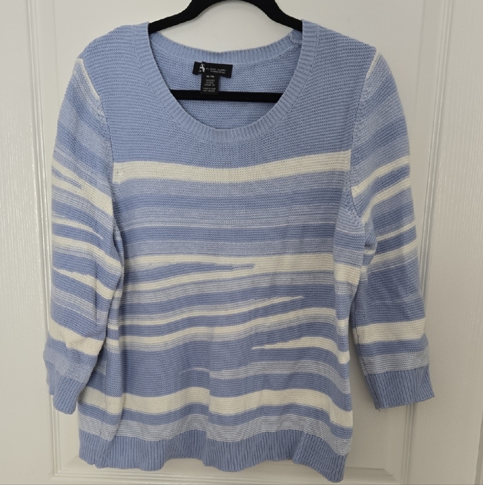 Stylish Blue and White Women's Sweater